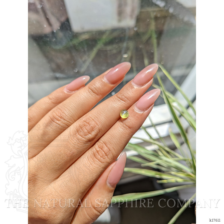 1.07 Ct. Cabochon Chrysoberyl from Ceylon (Sri Lanka)