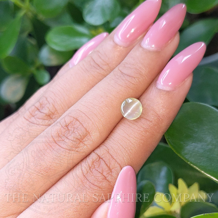 2.00 Ct. Cabochon Chrysoberyl from Ceylon (Sri Lanka)