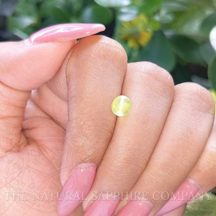 1.32 Ct. Cabochon Chrysoberyl from Ceylon (Sri Lanka)