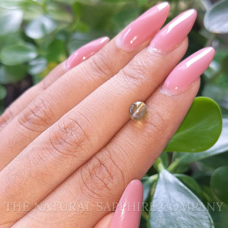 1.84 Ct. Cabochon Chrysoberyl from Ceylon (Sri Lanka)