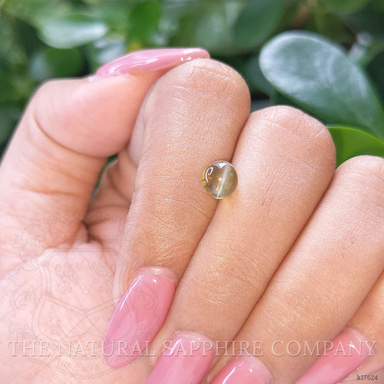 1.84 Ct. Cabochon Chrysoberyl from Ceylon (Sri Lanka)