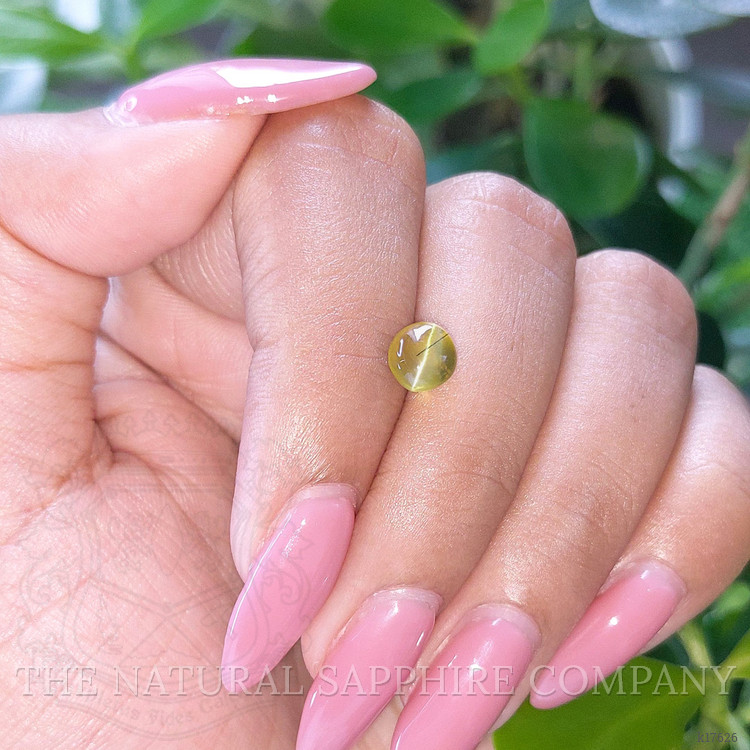 1.75 Ct. Cabochon Chrysoberyl from Ceylon (Sri Lanka)