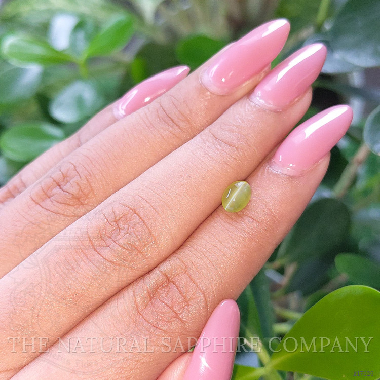 1.22 Ct. Cabochon Chrysoberyl from Ceylon (Sri Lanka)