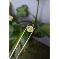 6.21 Ct. Cabochon Chrysoberyl Life Style