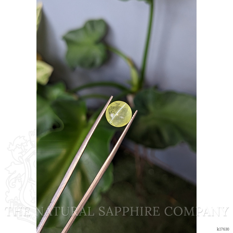 6.21 Ct. Cabochon Chrysoberyl