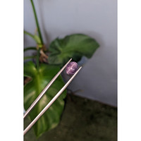 4.40 Ct. Cabochon Tourmaline Life Style