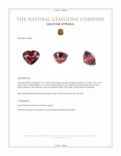 3.21 Ct. Red Garnet from Tanzania Appraisal
