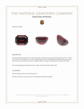 3.35 Ct. Red Garnet from Ceylon (Sri Lanka) Appraisal