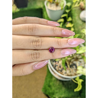 1.63 Ct. Rhodolite Garnet from Ceylon (Sri Lanka) Life Style