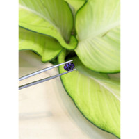 1.61 Ct. Iolite from Madagascar Life Style