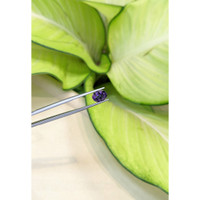 1.61 Ct. Iolite from Madagascar Life Style