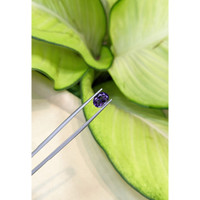 1.64 Ct. Iolite from Madagascar Life Style