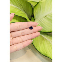 1.64 Ct. Iolite from Madagascar Life Style
