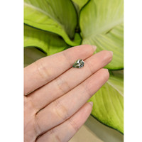 1.69 Ct. Tanzanite from Tanzania Life Style