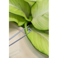 1.69 Ct. Tanzanite from Tanzania Life Style