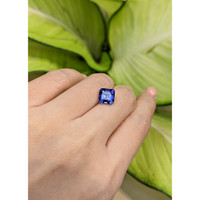 2.90 Ct. Tanzanite from Tanzania Life Style