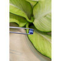 2.90 Ct. Tanzanite from Tanzania Life Style