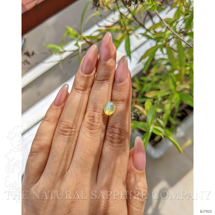 2.66 Ct. Cabochon Chrysoberyl from Ceylon (Sri Lanka)