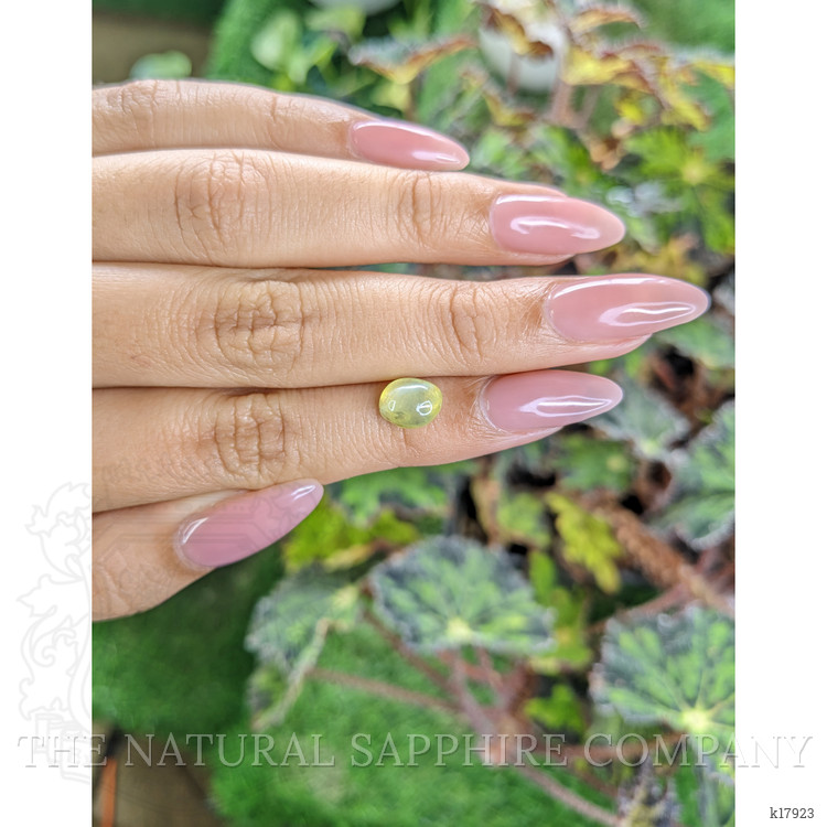 2.66 Ct. Cabochon Chrysoberyl from Ceylon (Sri Lanka)