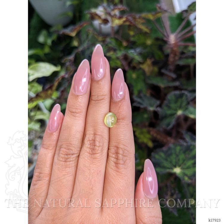 2.66 Ct. Cabochon Chrysoberyl from Ceylon (Sri Lanka)