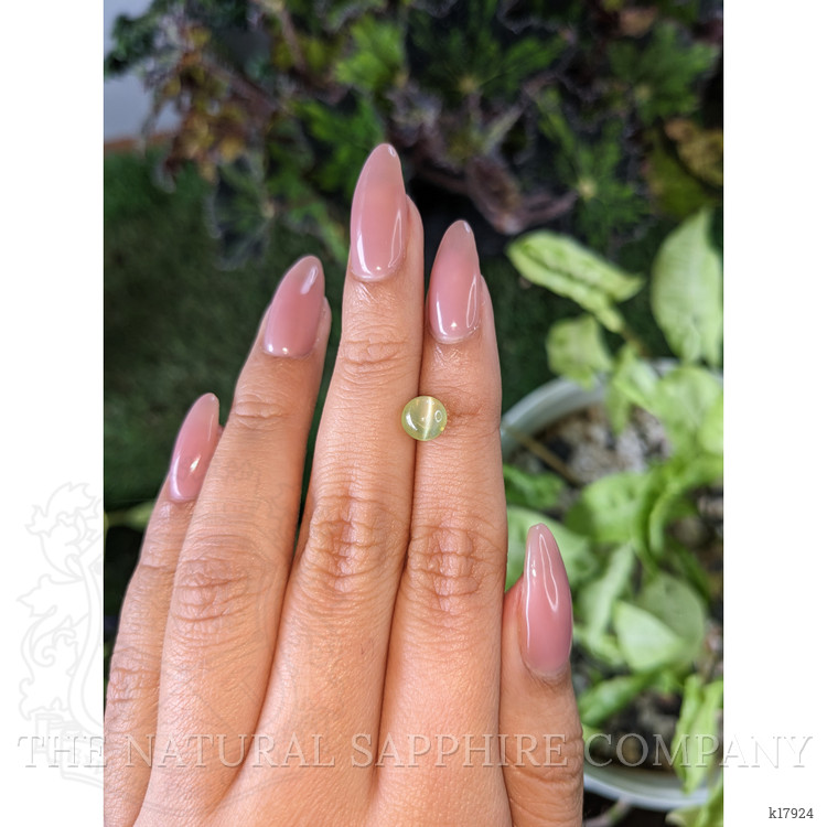 2.07 Ct. Cabochon Chrysoberyl from Ceylon (Sri Lanka)