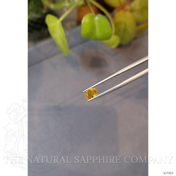 0.81 Ct. Spessartite Garnet from Namibia