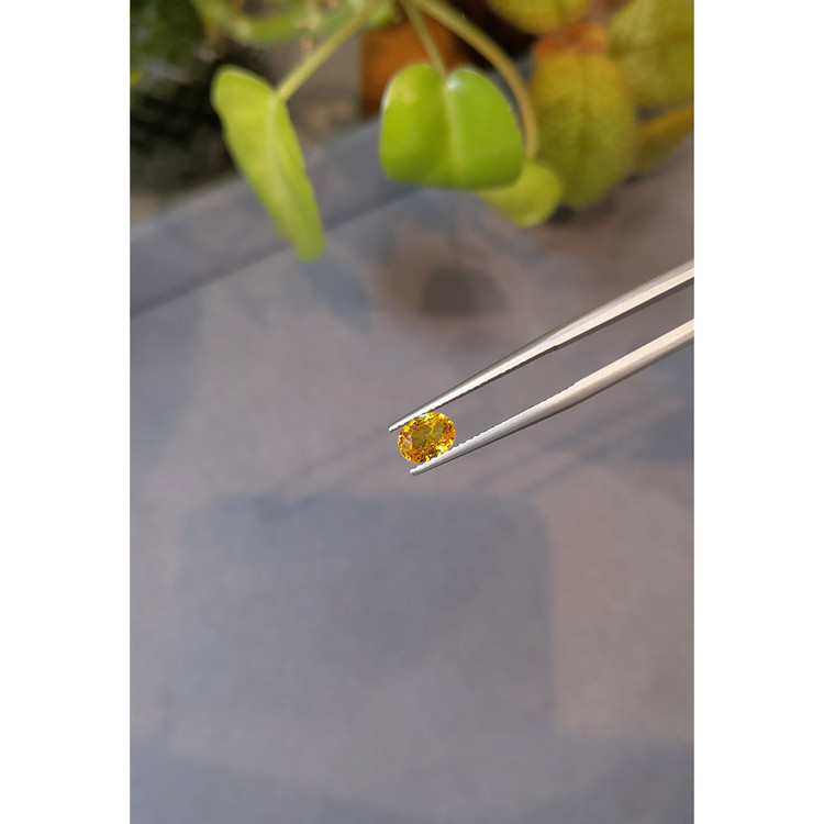 0.81 Ct. Spessartite Garnet from Namibia