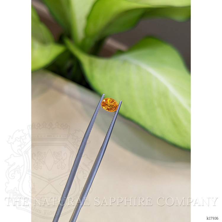 1.16 Ct. Spessartite Garnet from Namibia