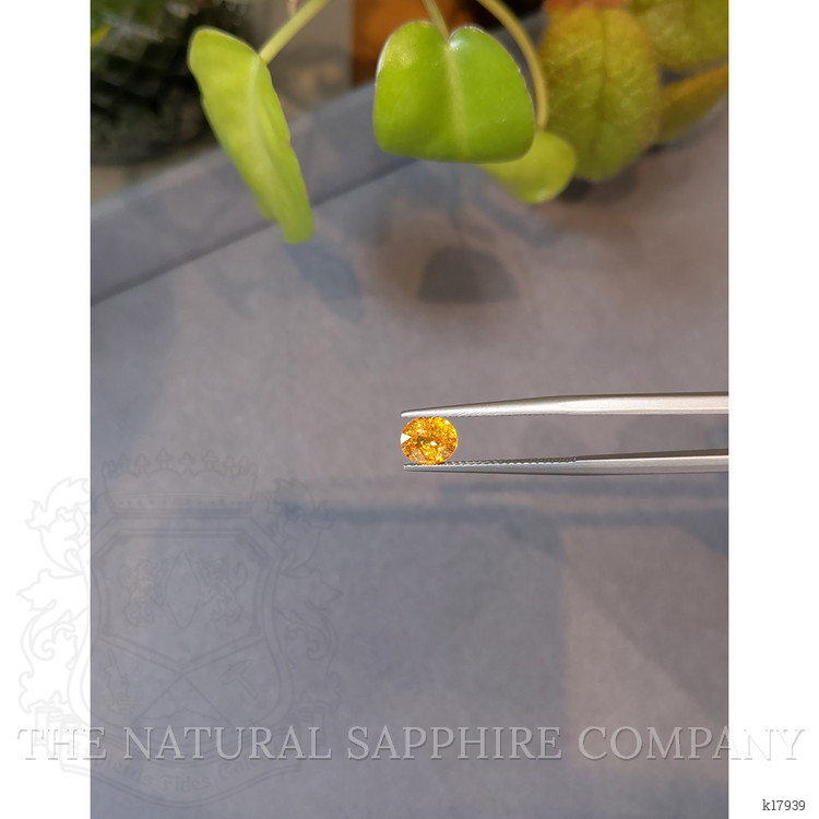 1.47 Ct. Spessartite Garnet from Namibia