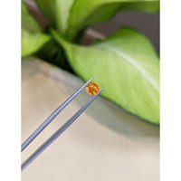 0.82 Ct. Spessartite Garnet from Namibia Life Style