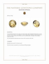 3.97 Ct. Sinhalite from Ceylon (Sri Lanka) Appraisal