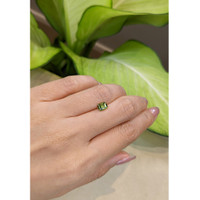 1.08 Ct. Andradite Garnet from Russia Life Style