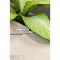 1.08 Ct. Andradite Garnet from Russia Life Style