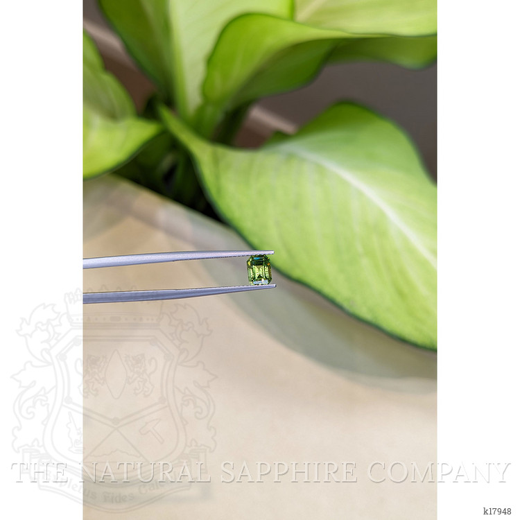 1.08 Ct. Andradite Garnet from Russia