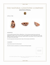 19.04 Ct. Topaz from Brazil Appraisal