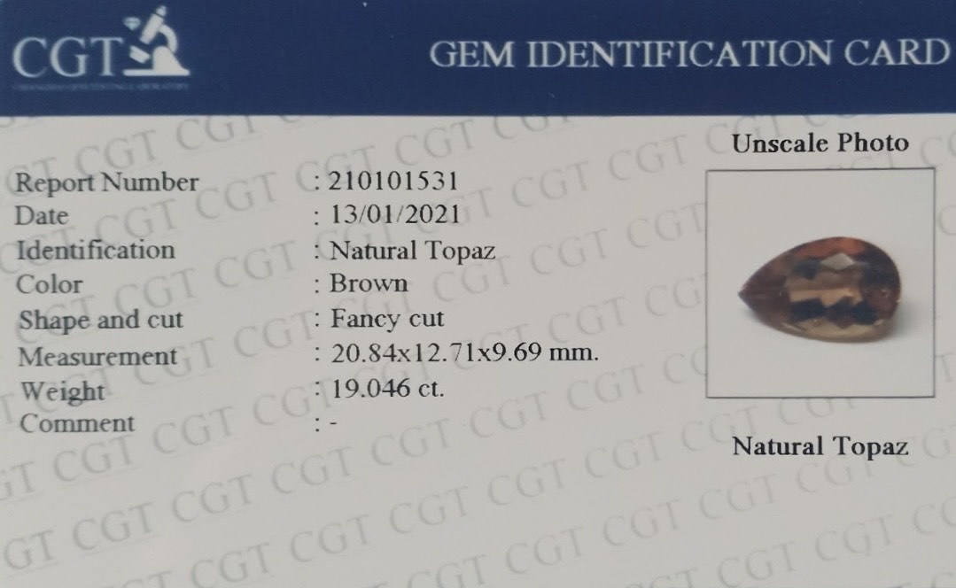19.04 Ct. Topaz from Brazil