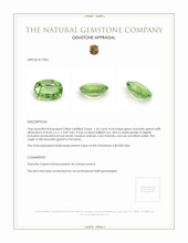 1.63 Ct. Tsavorite Garnet from Tanzania Appraisal