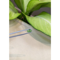 1.63 Ct. Tsavorite Garnet from Tanzania Life Style