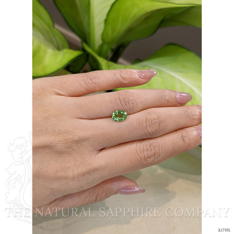1.63 Ct. Tsavorite Garnet from Tanzania