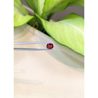2.50 Ct. Malaya Garnet from Tanzania Life Style