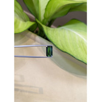 4.06 Ct. Tourmaline from Madagascar Life Style