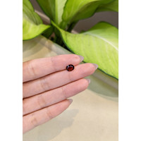 1.22 Ct. Spinel from Burma (Myanmar) Life Style