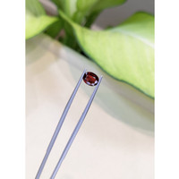 1.22 Ct. Spinel from Burma (Myanmar) Life Style