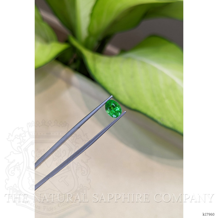 1.67 Ct. Tsavorite Garnet from Tanzania