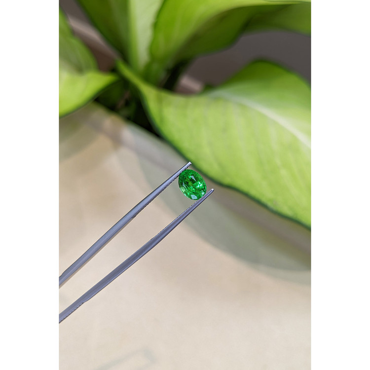 1.67 Ct. Tsavorite Garnet from Tanzania
