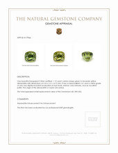 1.13 Ct. Alexandrite from Ceylon (Sri Lanka) Appraisal