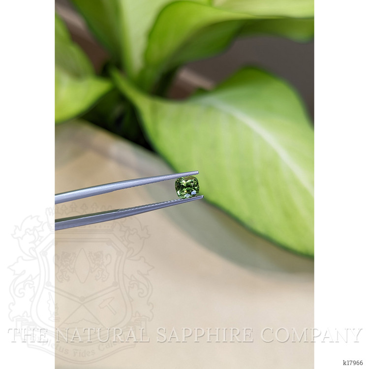 1.13 Ct. Alexandrite from Ceylon (Sri Lanka)