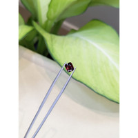 1.33 Ct. Spinel from Burma (Myanmar) Life Style