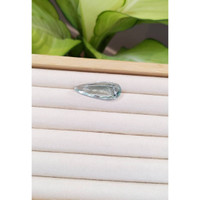 24.11 Ct. Paraiba Tourmaline from Africa Life Style