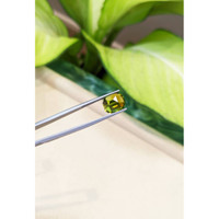 5.68 Ct. Peridot from Burma (Myanmar) Life Style